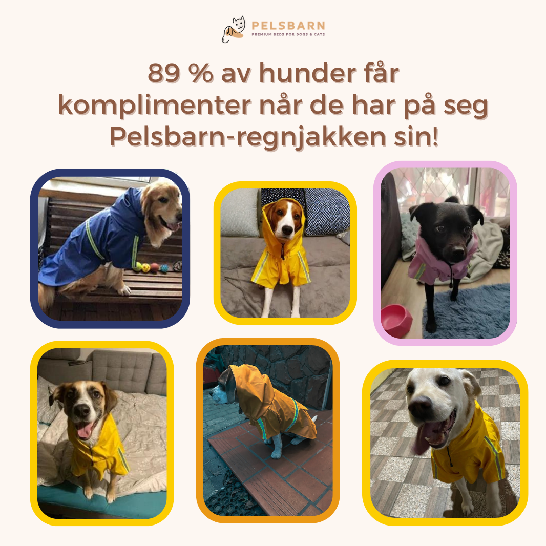 Pelsbarn Regnjakke til Hund