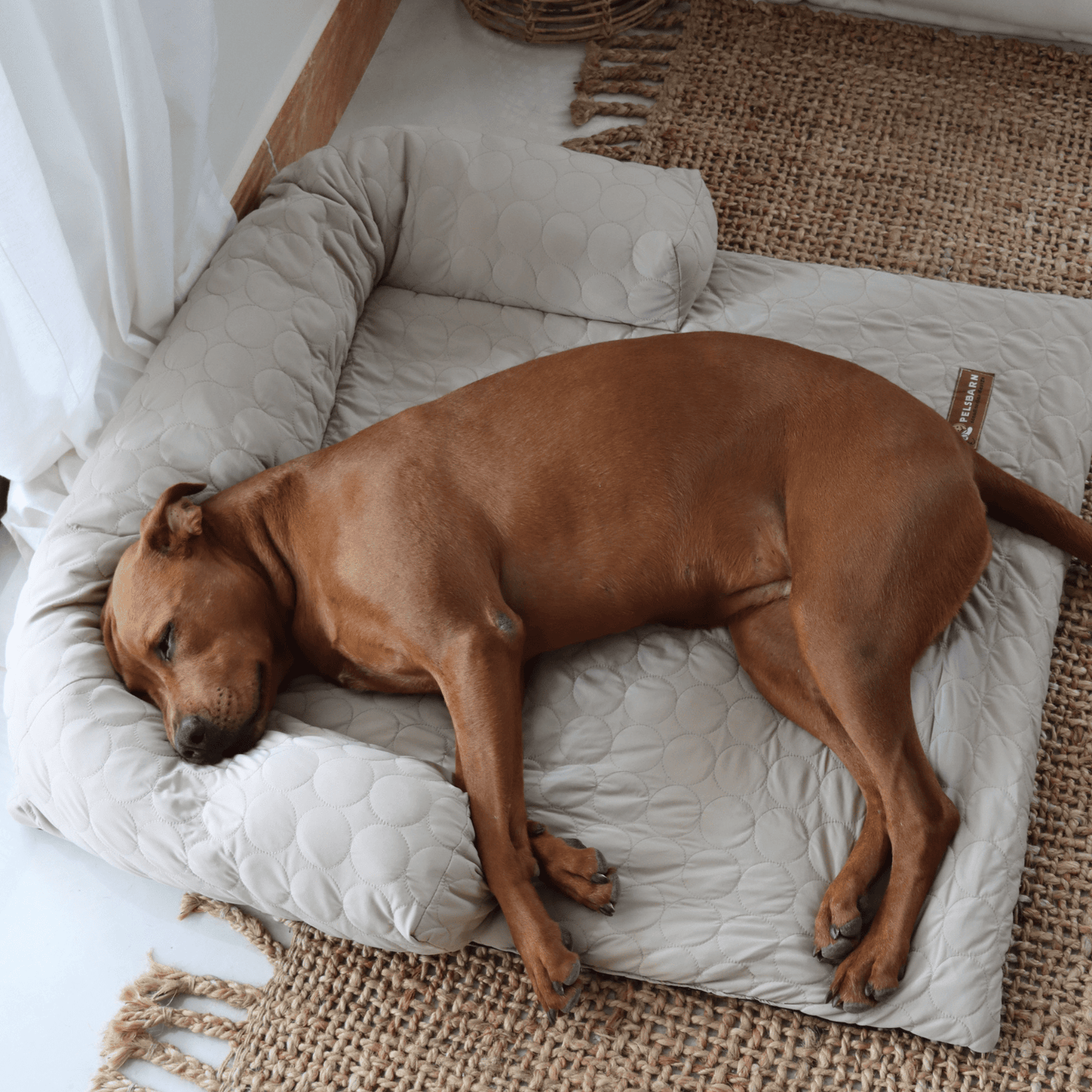 Pelsbarn® Nedkjølende Hundeseng