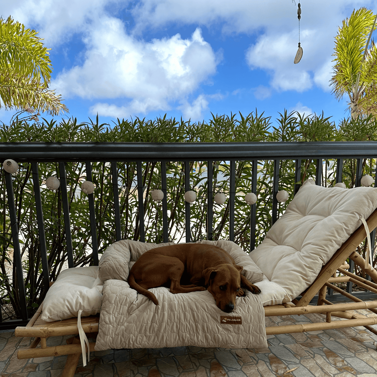 Pelsbarn® Nedkjølende Hundeseng