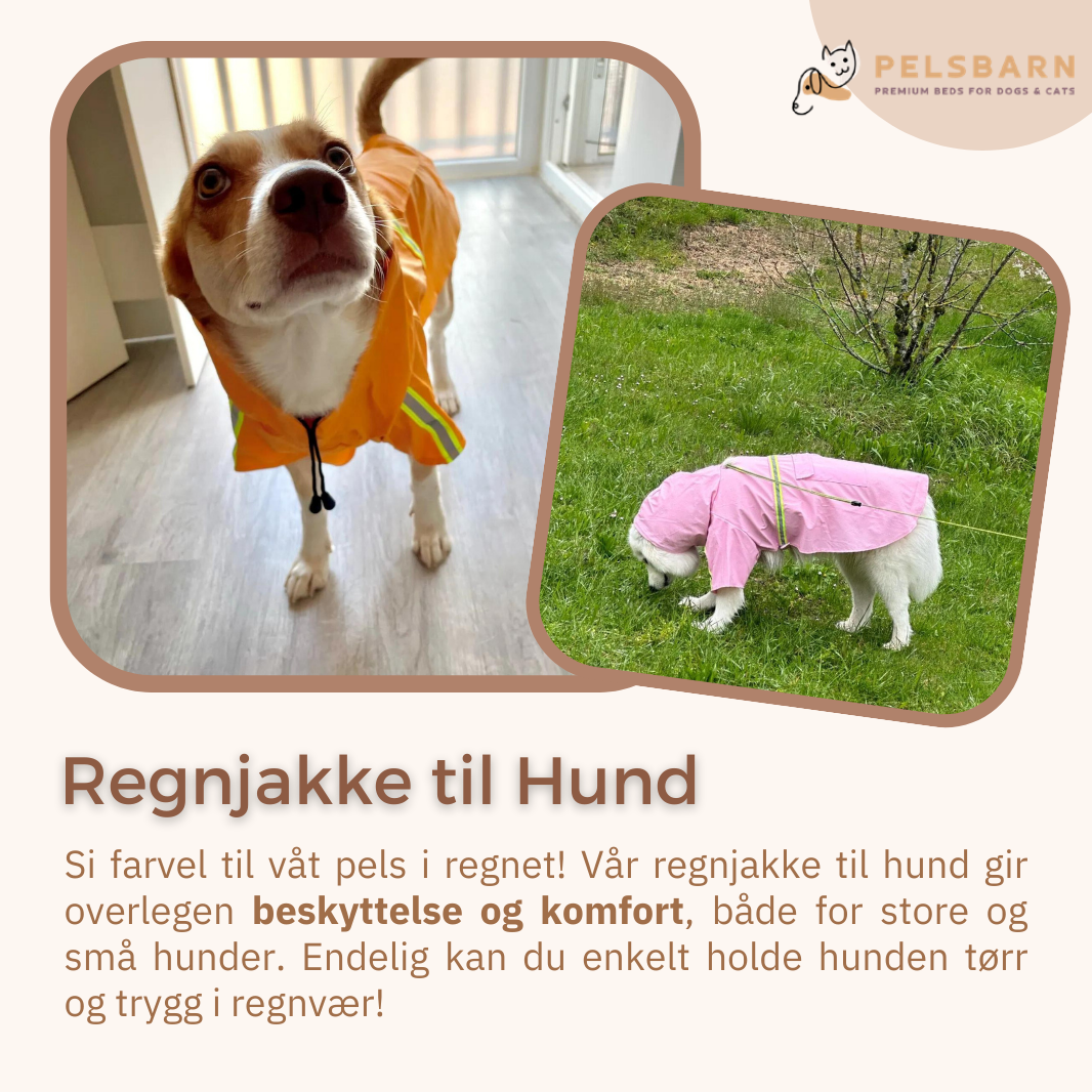 Pelsbarn Regnjakke til Hund