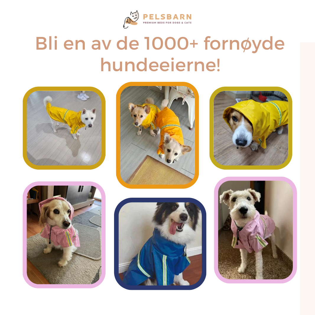 Pelsbarn Regnjakke til Hund
