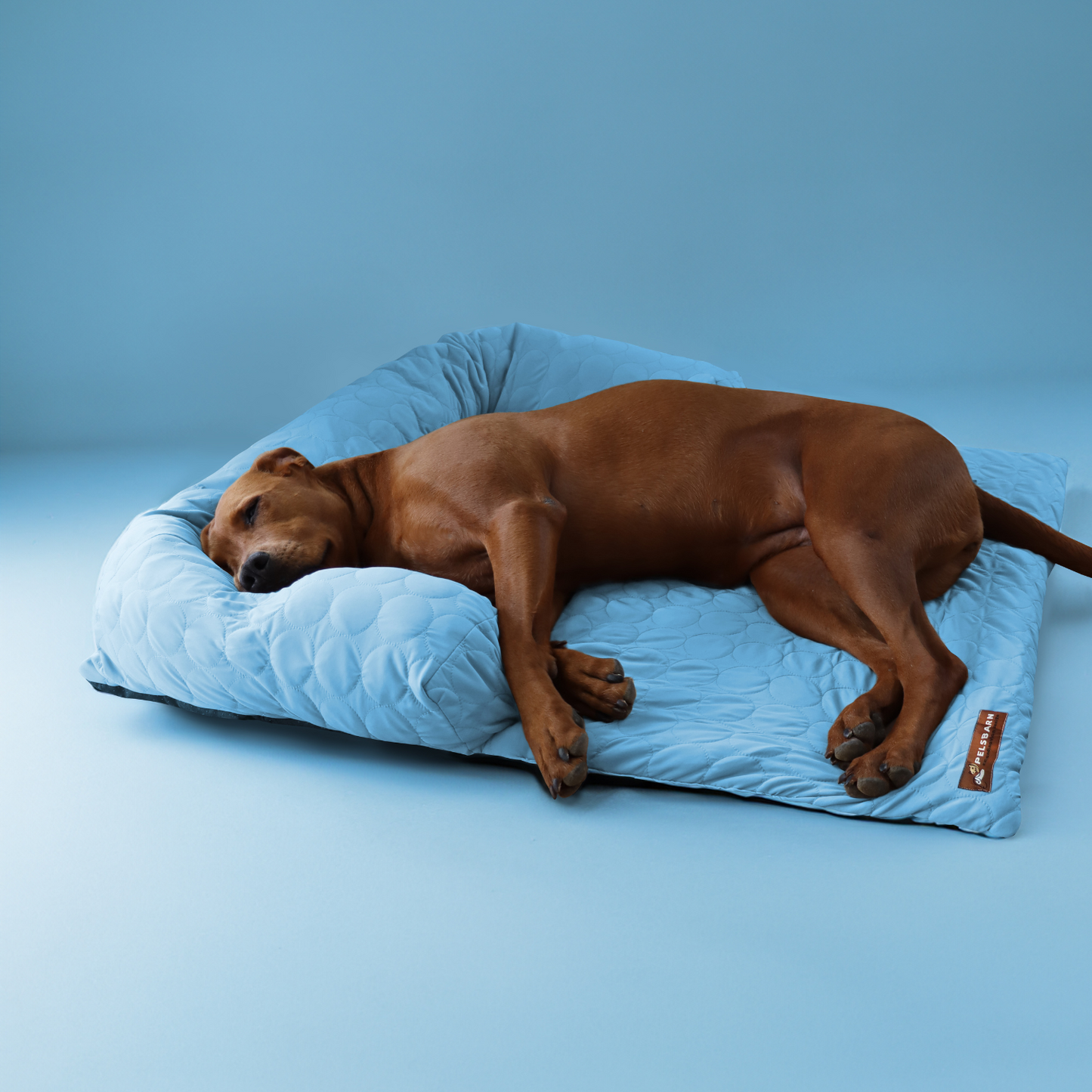 Pelsbarn® Nedkjølende Hundeseng