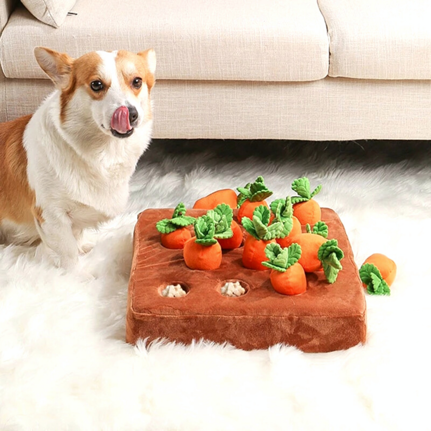 Pelsbarn Gulrotfarm