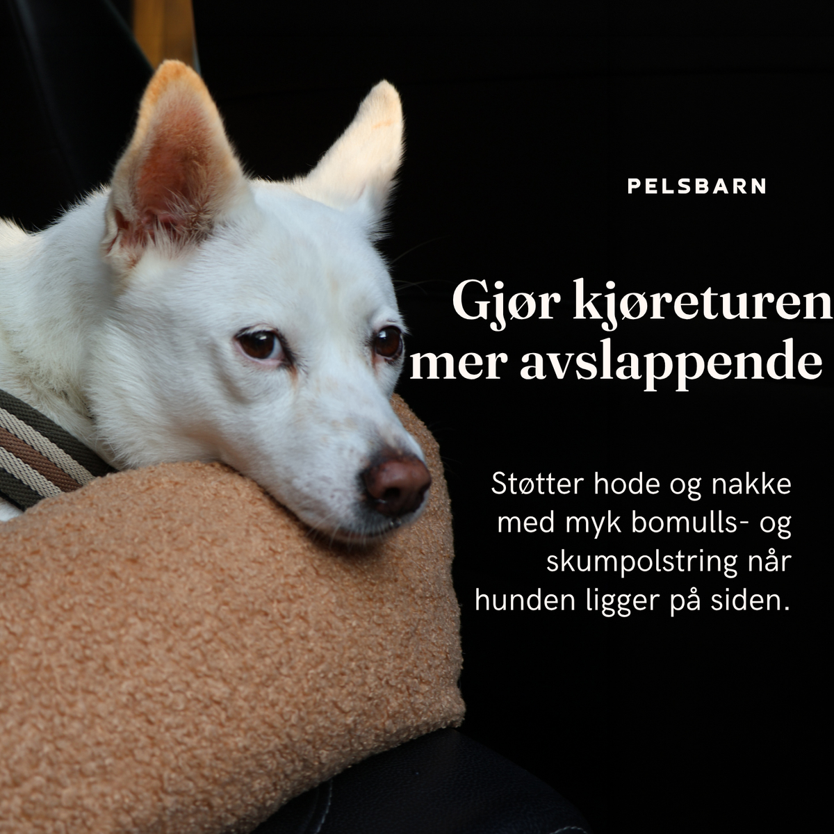 Teddy Bilseng
