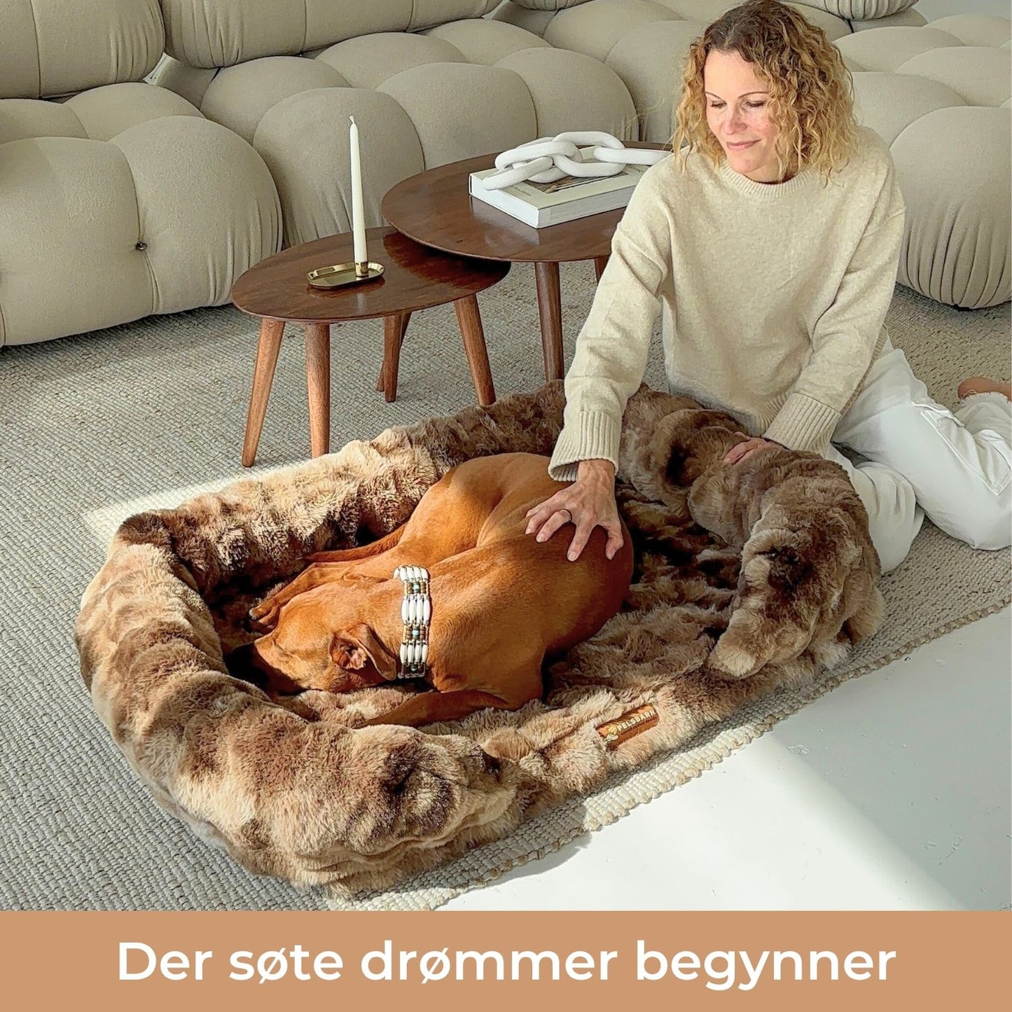 GI HUNDEN DIN GAVEN AV SØVN SOM LINDRER