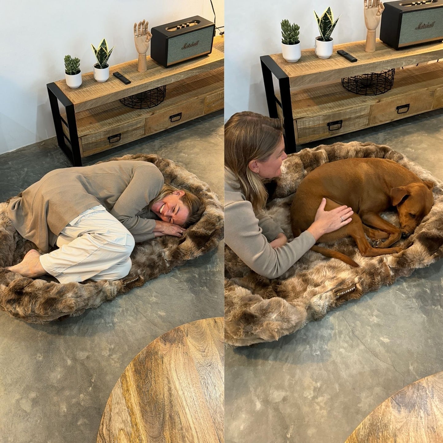 GI HUNDEN DIN GAVEN AV SØVN SOM LINDRER