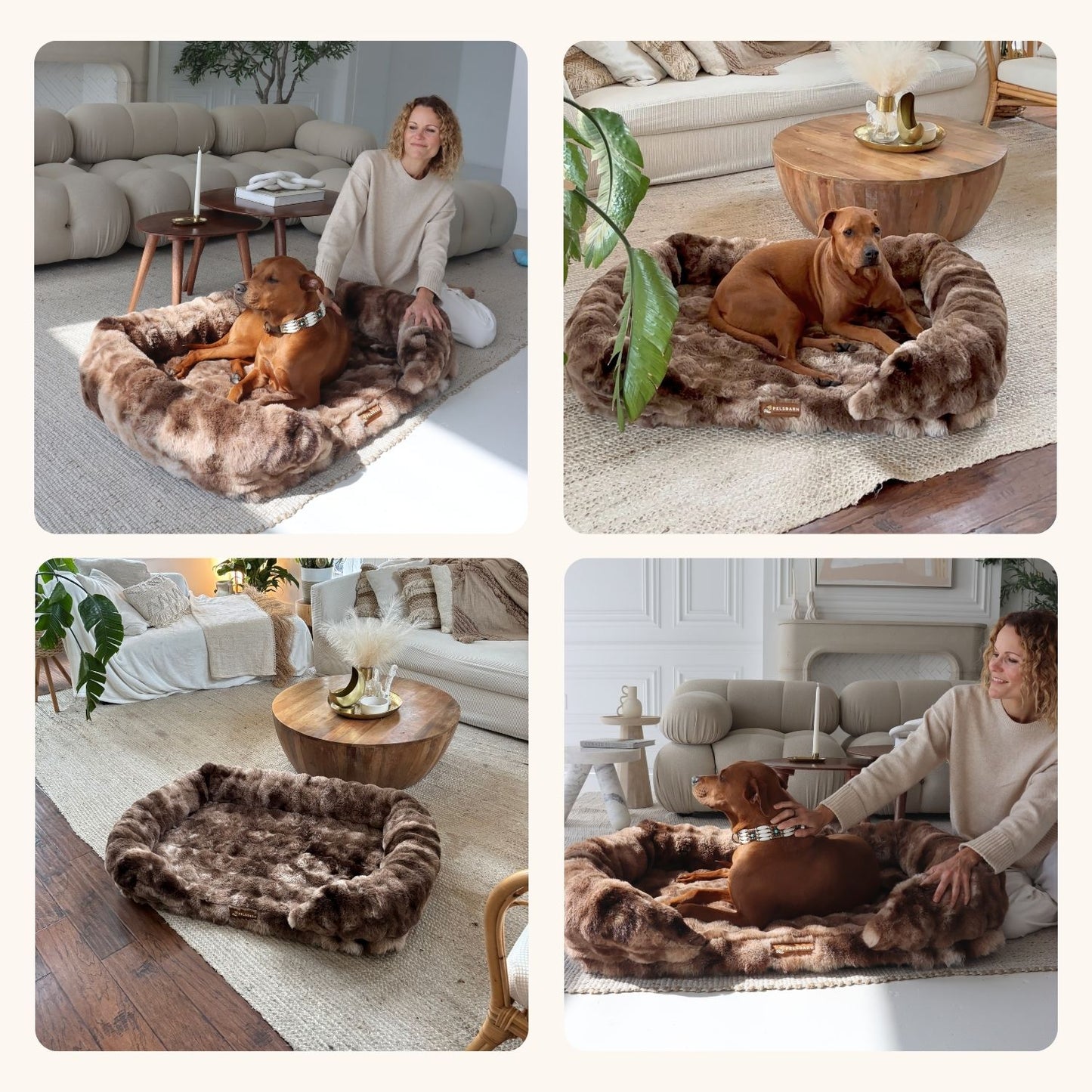 GI HUNDEN DIN GAVEN AV SØVN SOM LINDRER