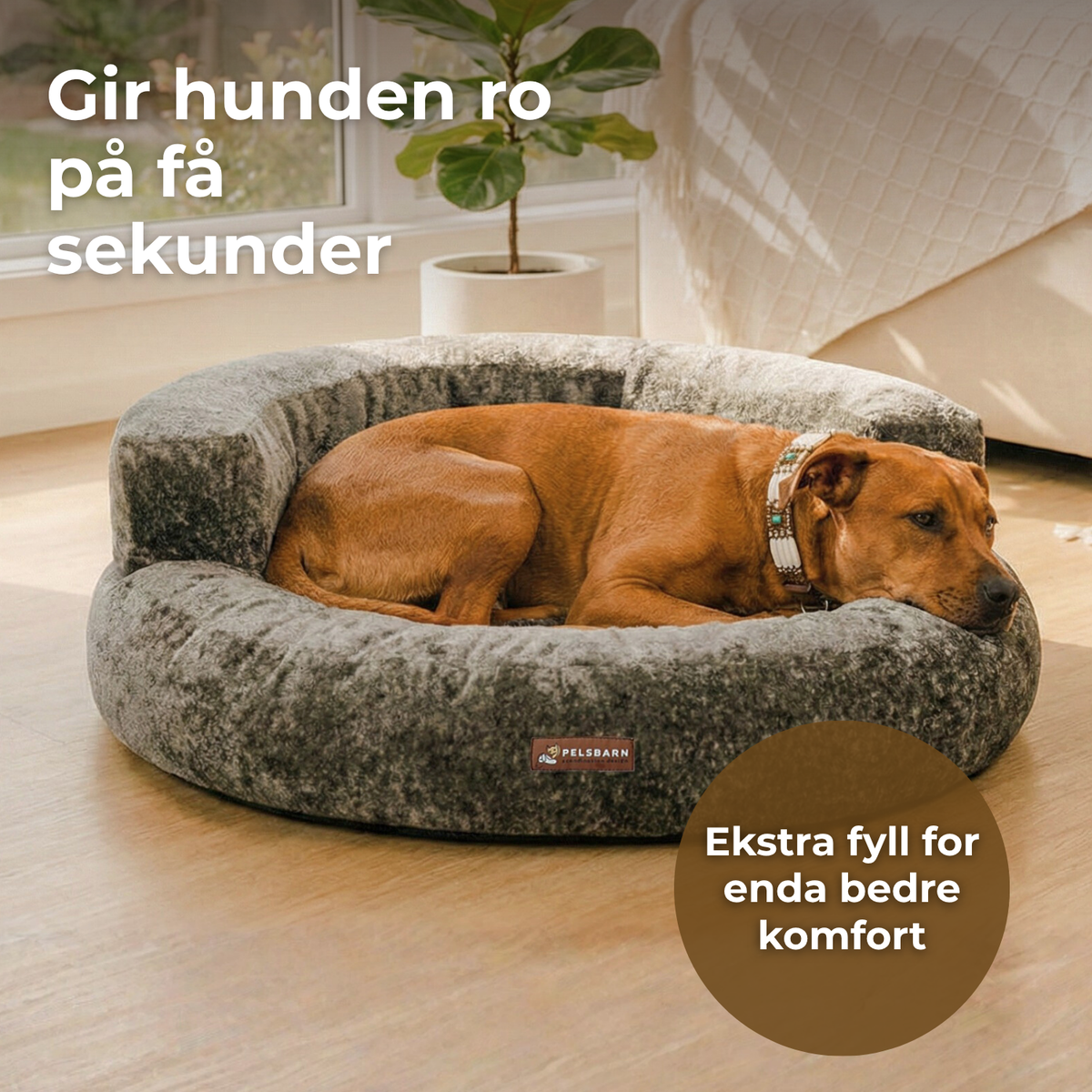 Cloud Velvet Hundeseng