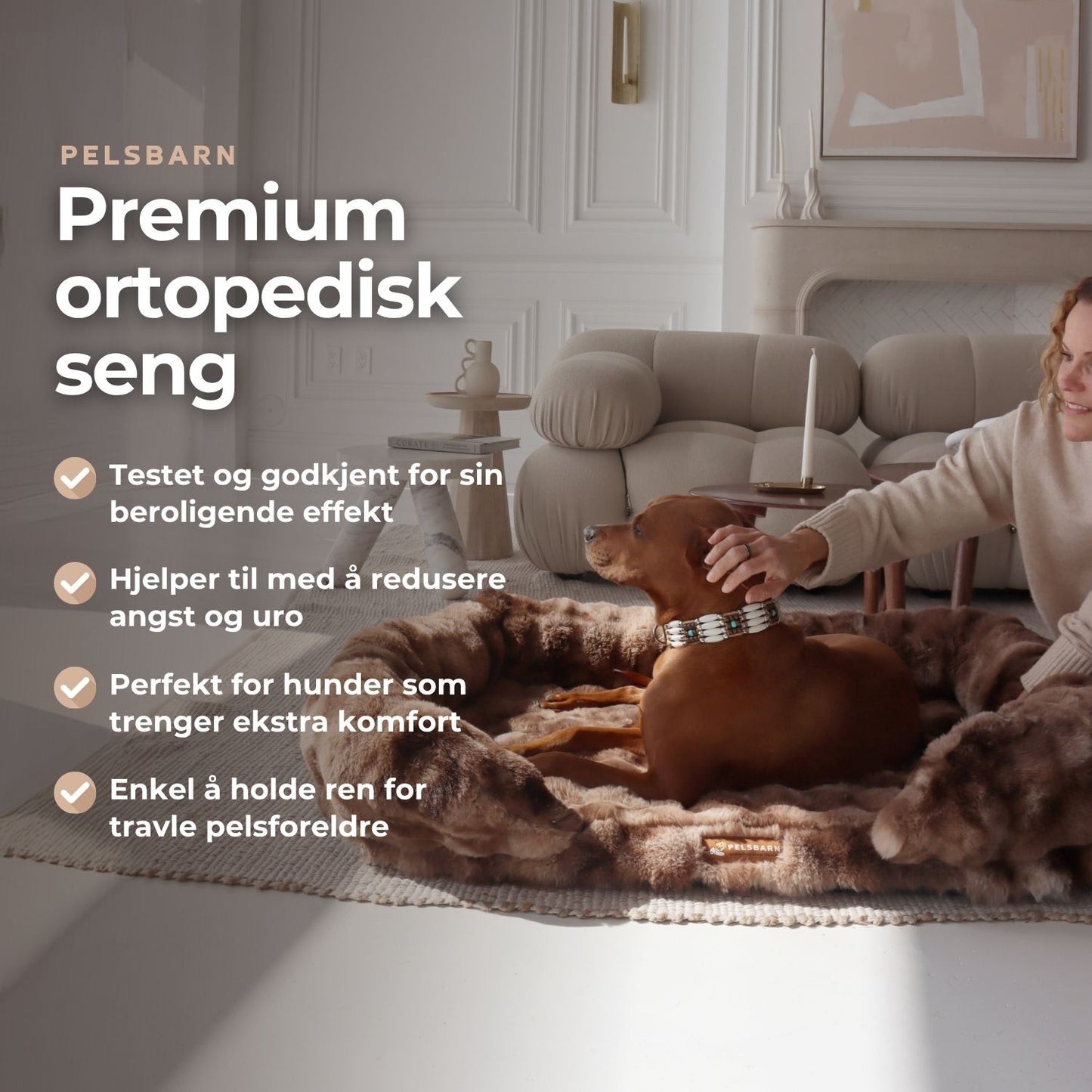 GI HUNDEN DIN GAVEN AV SØVN SOM LINDRER