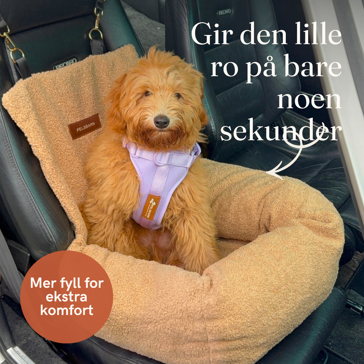 Teddy Bilseng