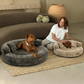 Cloud Velvet Hundeseng