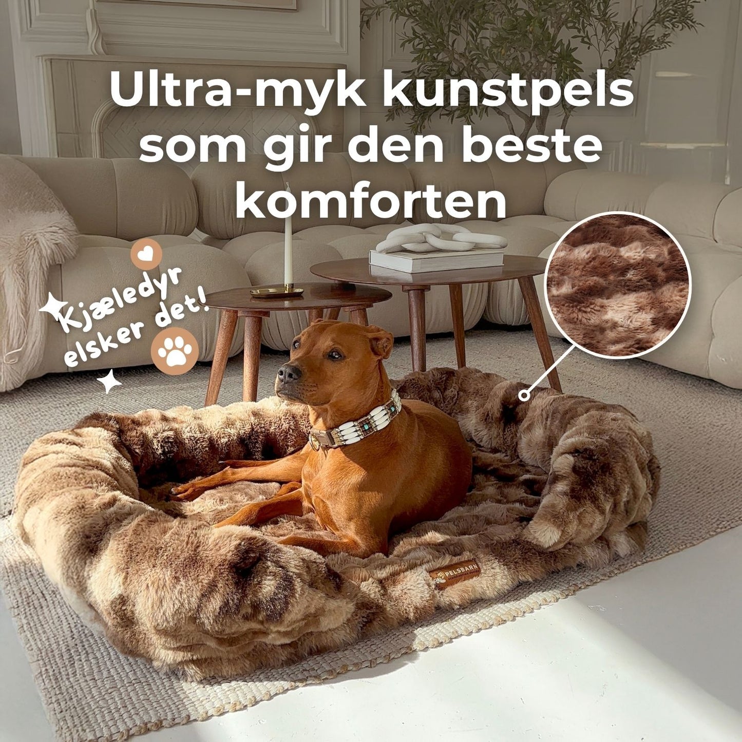 GI HUNDEN DIN GAVEN AV SØVN SOM LINDRER