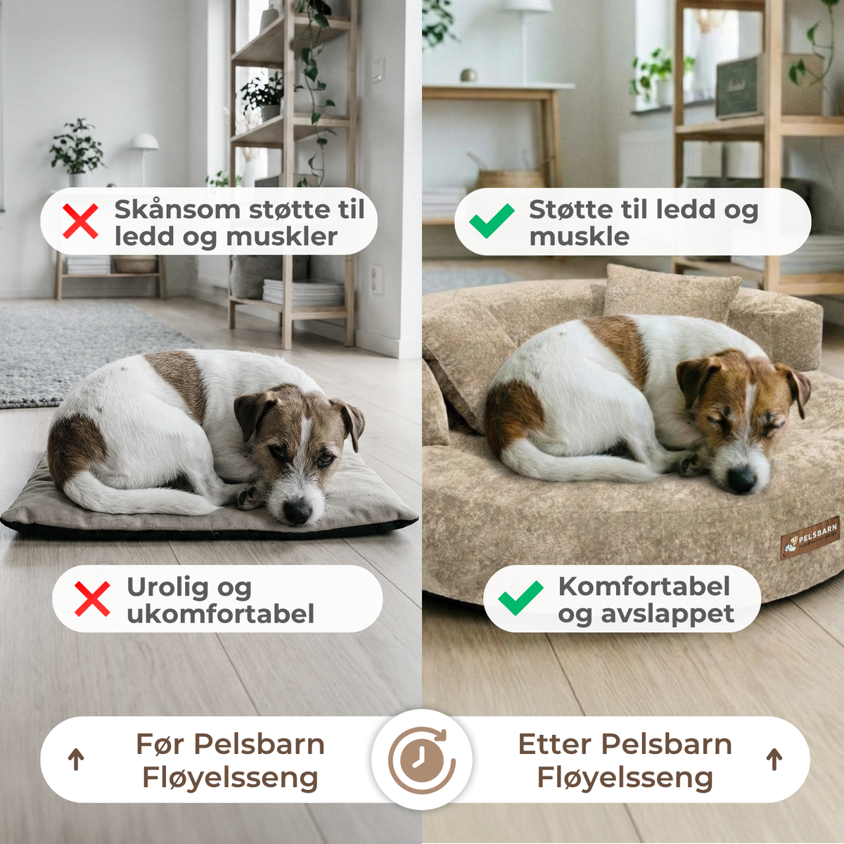 Cloud Velvet Hundeseng