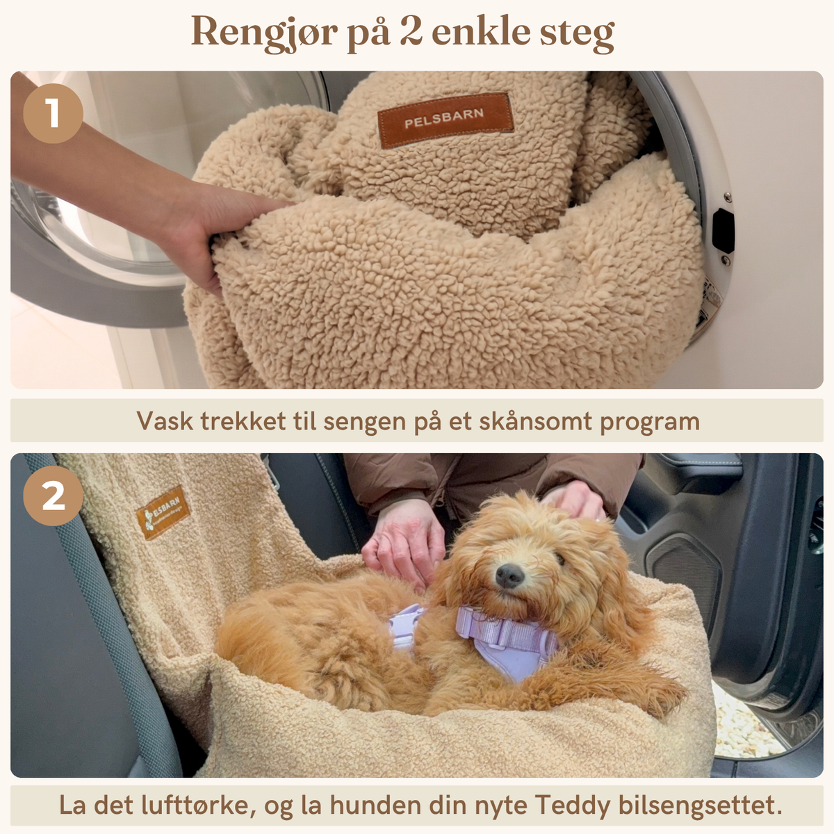 Teddy Bilseng