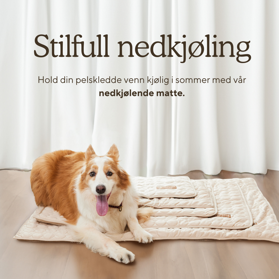 Pelsbarn Nedkjølingsmatte