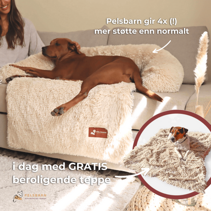 Pelsbarn® Hundeseng (+ GRATIS teppe)