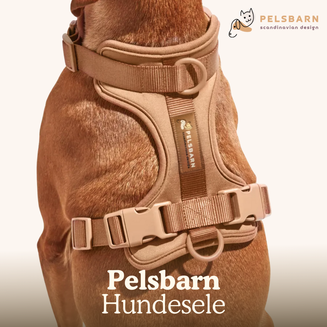 Pelsbarn Hundesele