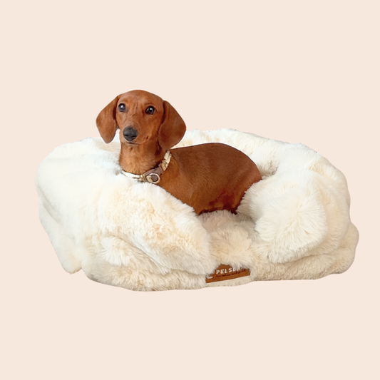 GI HUNDEN DIN GAVEN AV SØVN SOM LINDRER
