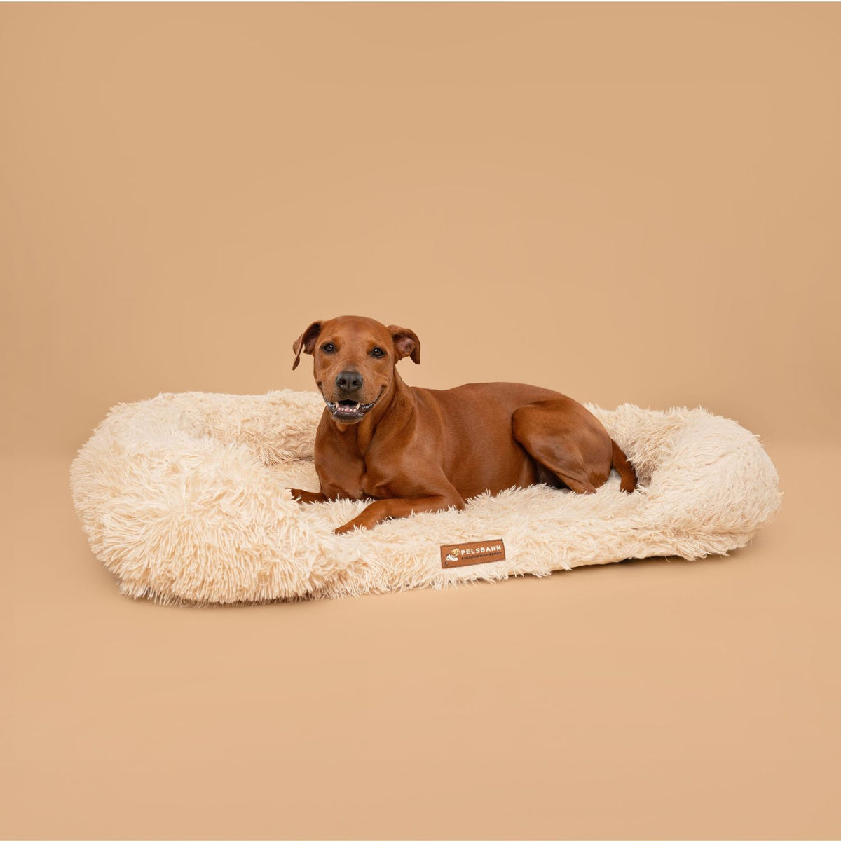 Terapeutisk og beroligende hundeseng