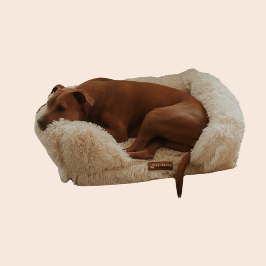 Ortopedisk Beroligende Hundeseng