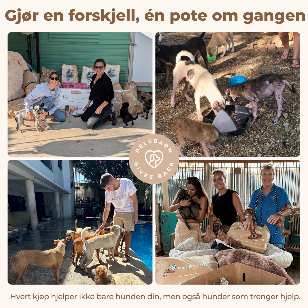 Cloud Velvet Hundeseng