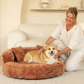 Cloud Velvet Hundeseng