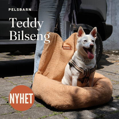 Teddy Bilseng