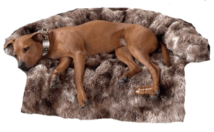 Sofasenger