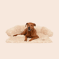 Pelsbarn® Hundeseng (+ GRATIS teppe)