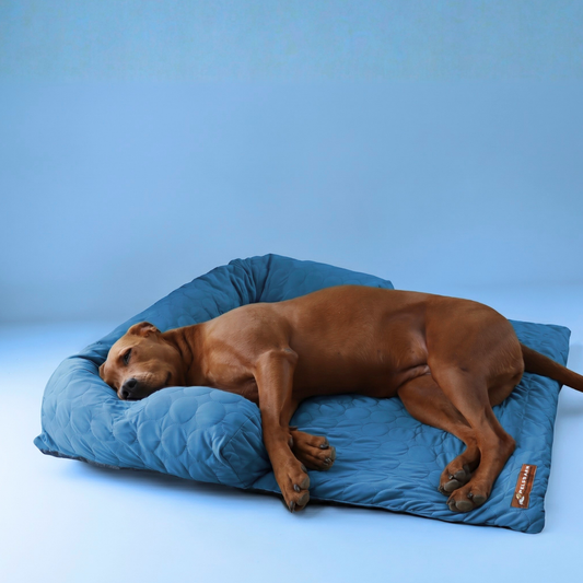 Pelsbarn® Nedkjølende Hundeseng