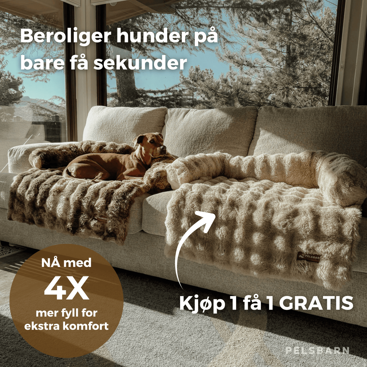Premium Sofaseng (1+1 GRATIS)
