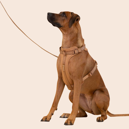 Pelsbarn Hundesele