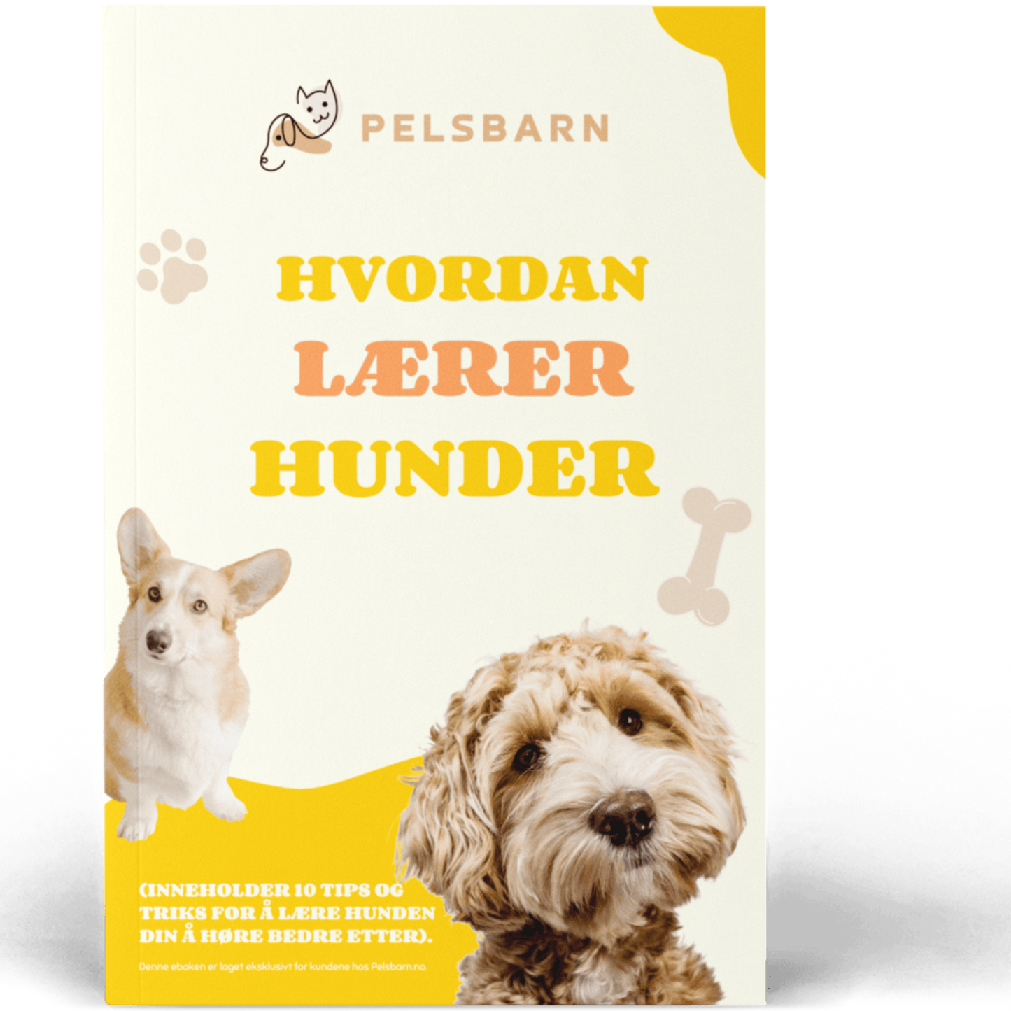 Ebok ''Hvordan Lærer hunder''