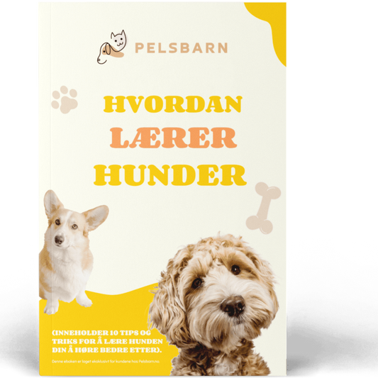 Ebok ''Hvordan Lærer hunder''