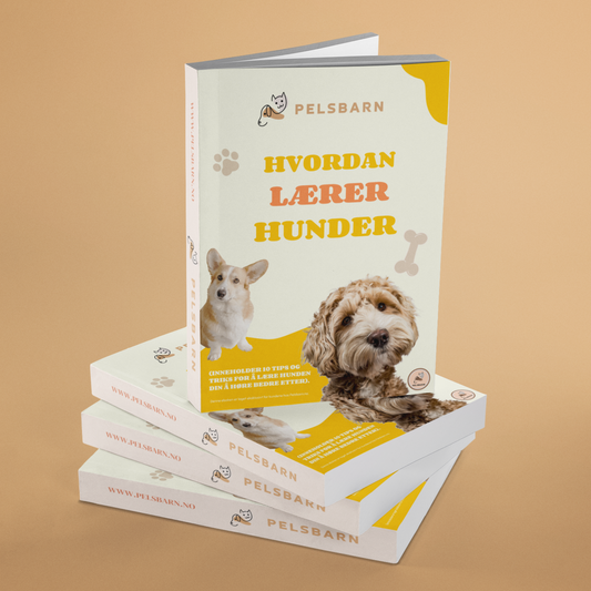 GAVE: Hvordan lærer hunder (eboken)